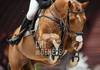 Fanny GUERDAT SKALLI (FRA) riding FREUD DE KREISKER during the day 2 of Rolex Grand Slam of Show Jumping 2024 at Palexpo on December 12, 2024 in Geneva, Switzerland. (Photo by Pierre Costabadie/Icon Sport)