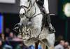 Erynn BALLARD (CAN) riding GINGER ASK during the day 3 of Rolex Grand Slam of Show Jumping 2024 at Palexpo on December 13, 2024 in Geneva, Switzerland. (Photo by Pierre Costabadie/Icon Sport)