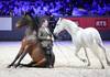 Miron BOCOCI and his horses during the day 5 of Rolex Grand Slam of Show Jumping 2024 at Palexpo on December 15, 2024 in Geneva, Switzerland. (Photo by Pierre Costabadie/Icon Sport)