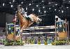 Stephan DE FREITAS BARCHA (BRA) riding CHEVAUX HEX LUP IMPERIO EGIPCIO during the day 4 of Rolex Grand Slam of Show Jumping 2024 at Palexpo on December 14, 2024 in Geneva, Switzerland. (Photo by Pierre Costabadie/Icon Sport)