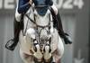 Gregory WATHELET (BEL) riding BETTY DU PRIEURE during the day 4 of Rolex Grand Slam of Show Jumping 2024 at Palexpo on December 14, 2024 in Geneva, Switzerland. (Photo by Pierre Costabadie/Icon Sport)