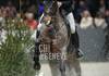 Richard VOGEL (GER) riding KALISTA SAVENIERE during the day 4 of Rolex Grand Slam of Show Jumping 2024 at Palexpo on December 14, 2024 in Geneva, Switzerland. (Photo by Pierre Costabadie/Icon Sport)